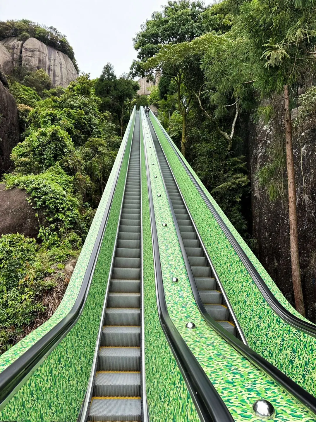 这山又免费了！！不爬对不起自己！