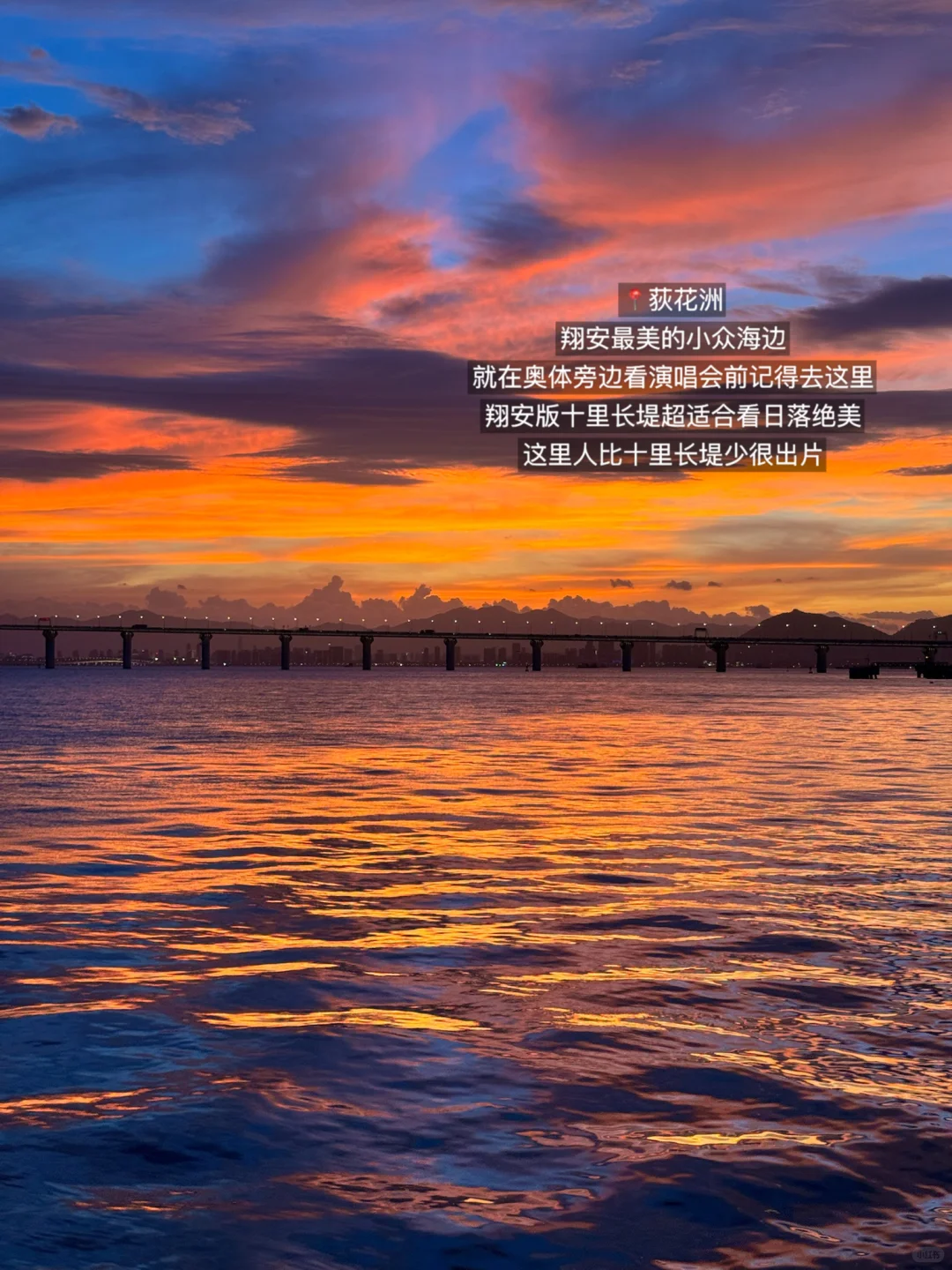 厦门最美的地方都是免费的！！！！（📍附地址）