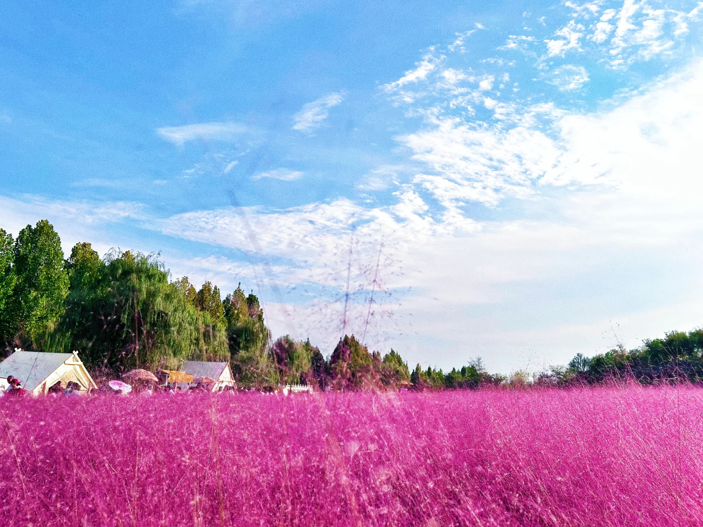 邯郸两天一夜亲子游攻略来啦🥰