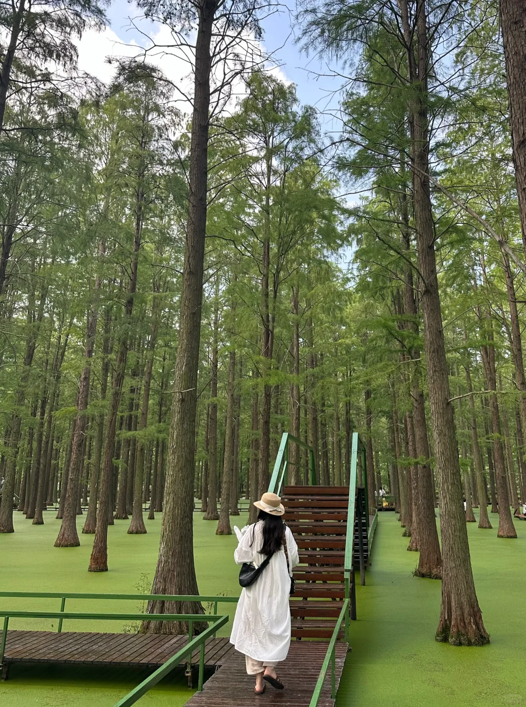 离大谱！！开车1小时到了村里竟然