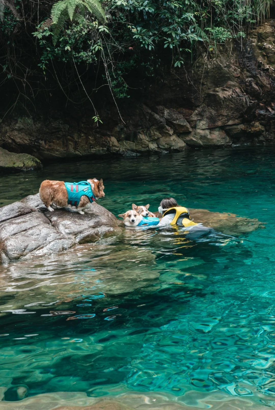 减10℃！开车直达，分享些夏日清凉胜地