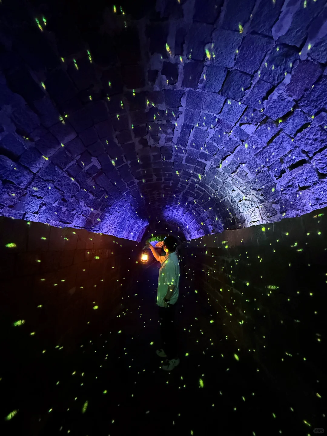 Live图意义❗️〈国家地理 〉夸的桐庐，包出片的