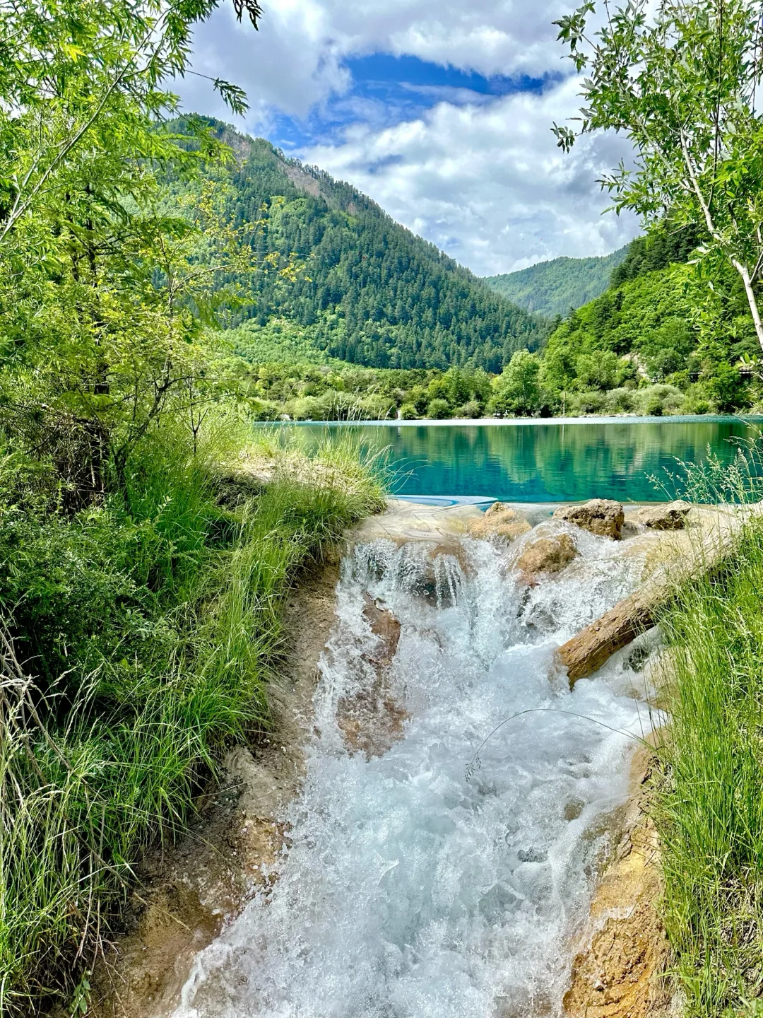 九寨沟唯一的真神🌼🦆🍃
