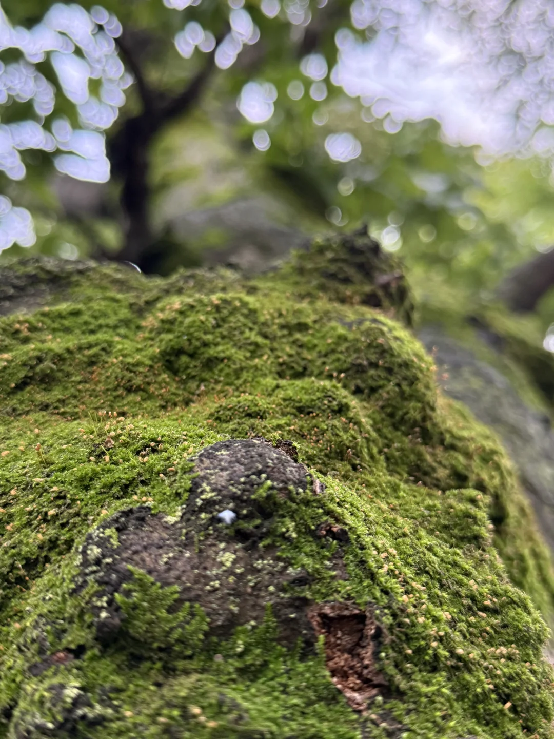 这么近那么美 周末到河北(性价比超高农家乐
