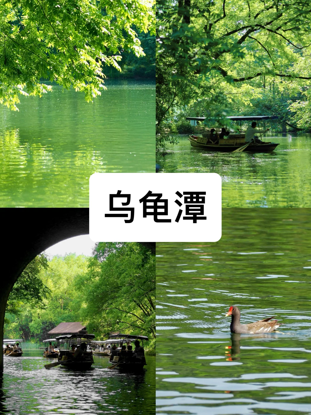 来杭州度夏必去的8️⃣大景点（不踩雷小众版）！