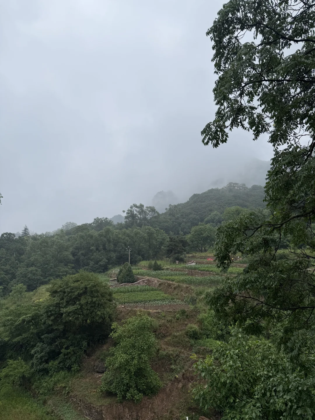 这么近那么美 周末到河北（性价比超高农家乐