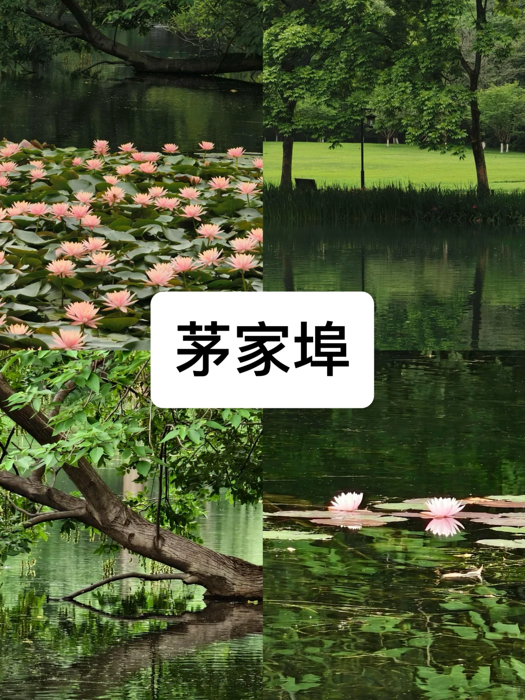 来杭州度夏必去的8️⃣大景点（不踩雷小众版）！