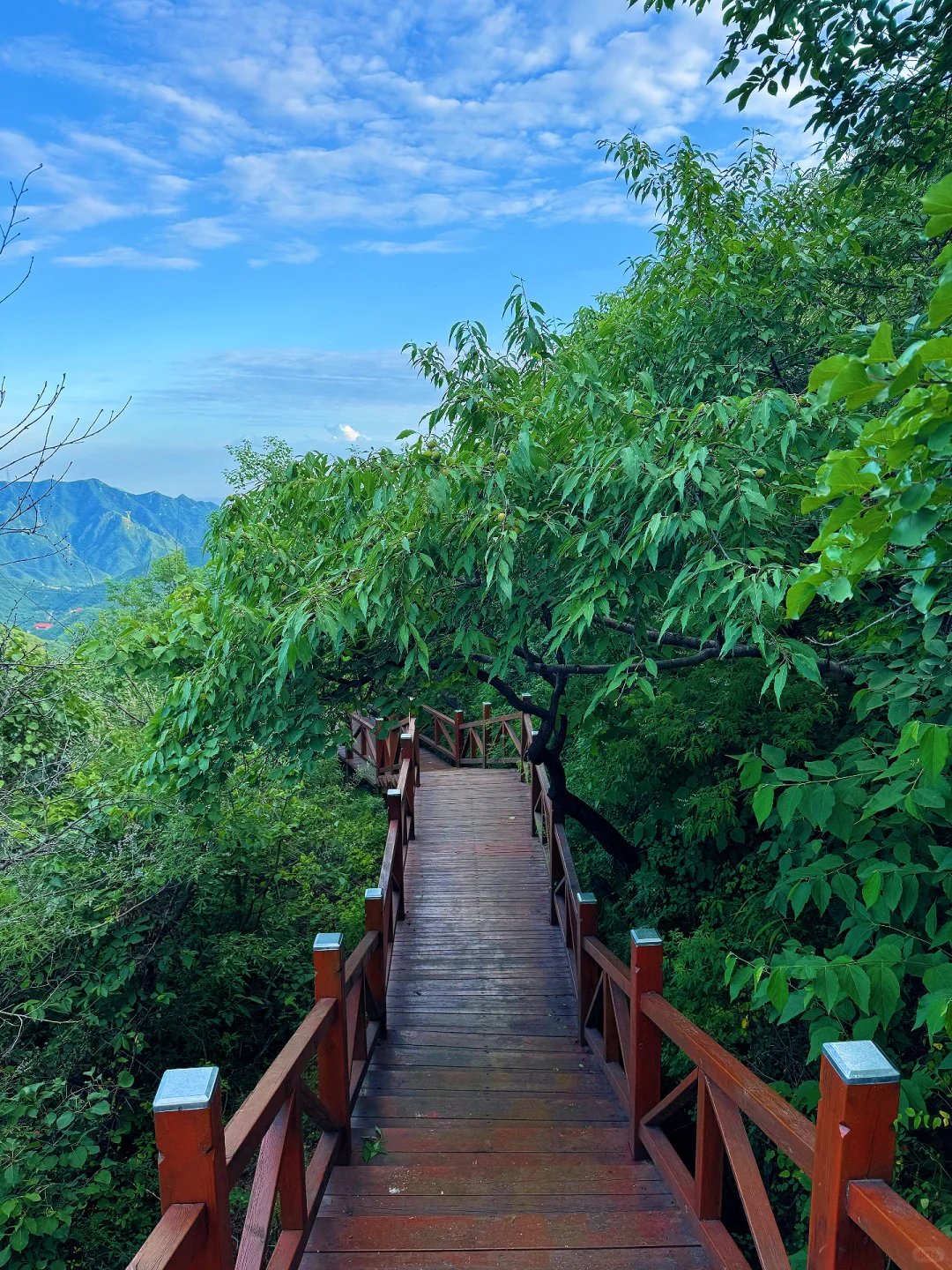 太出片了❗️隐藏在京郊山谷的