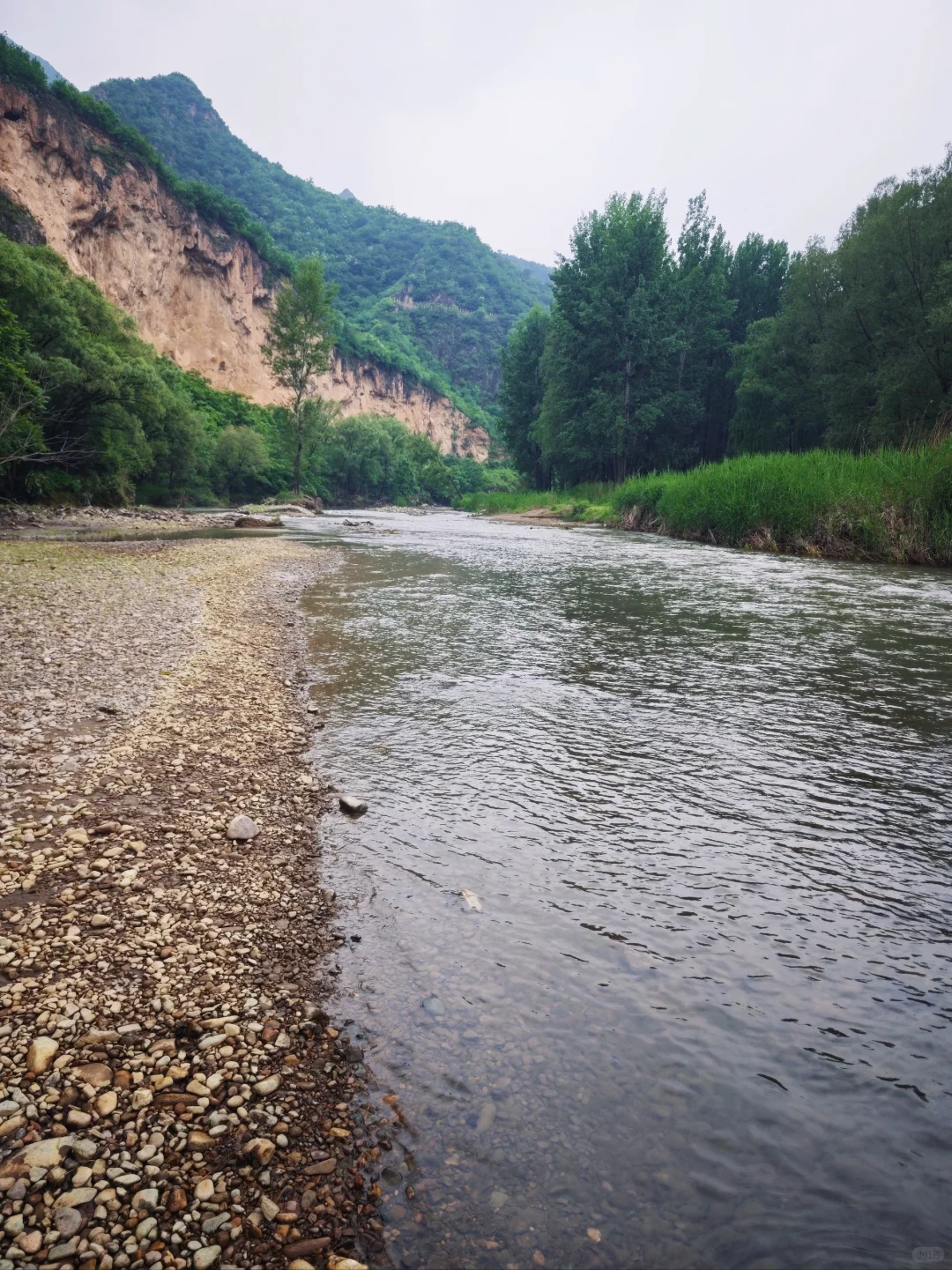 孕妈妈码住❗️绝佳放松静谧避暑胜地