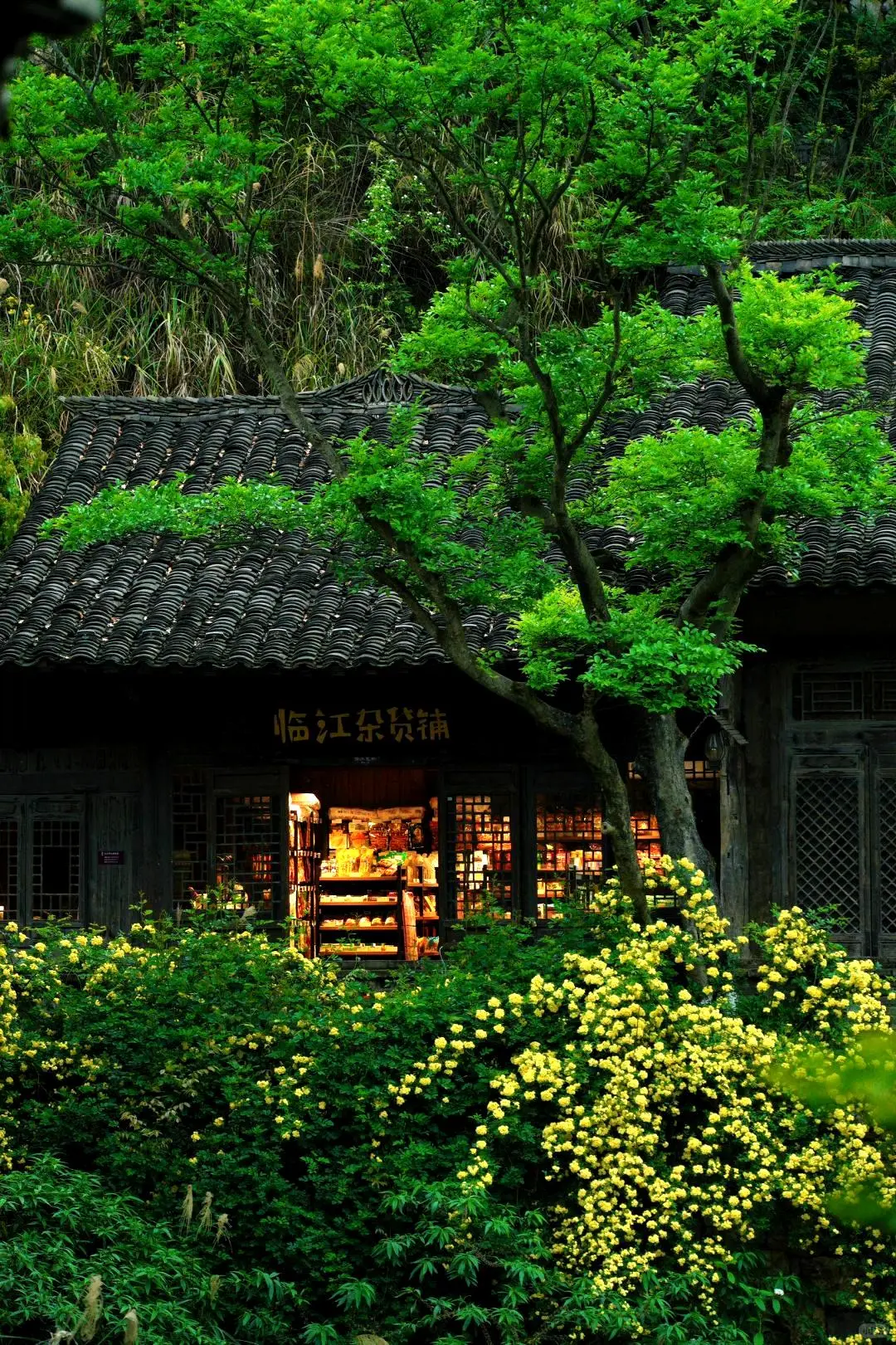 高铁直达！这片被严重低估的贵州仙境😭