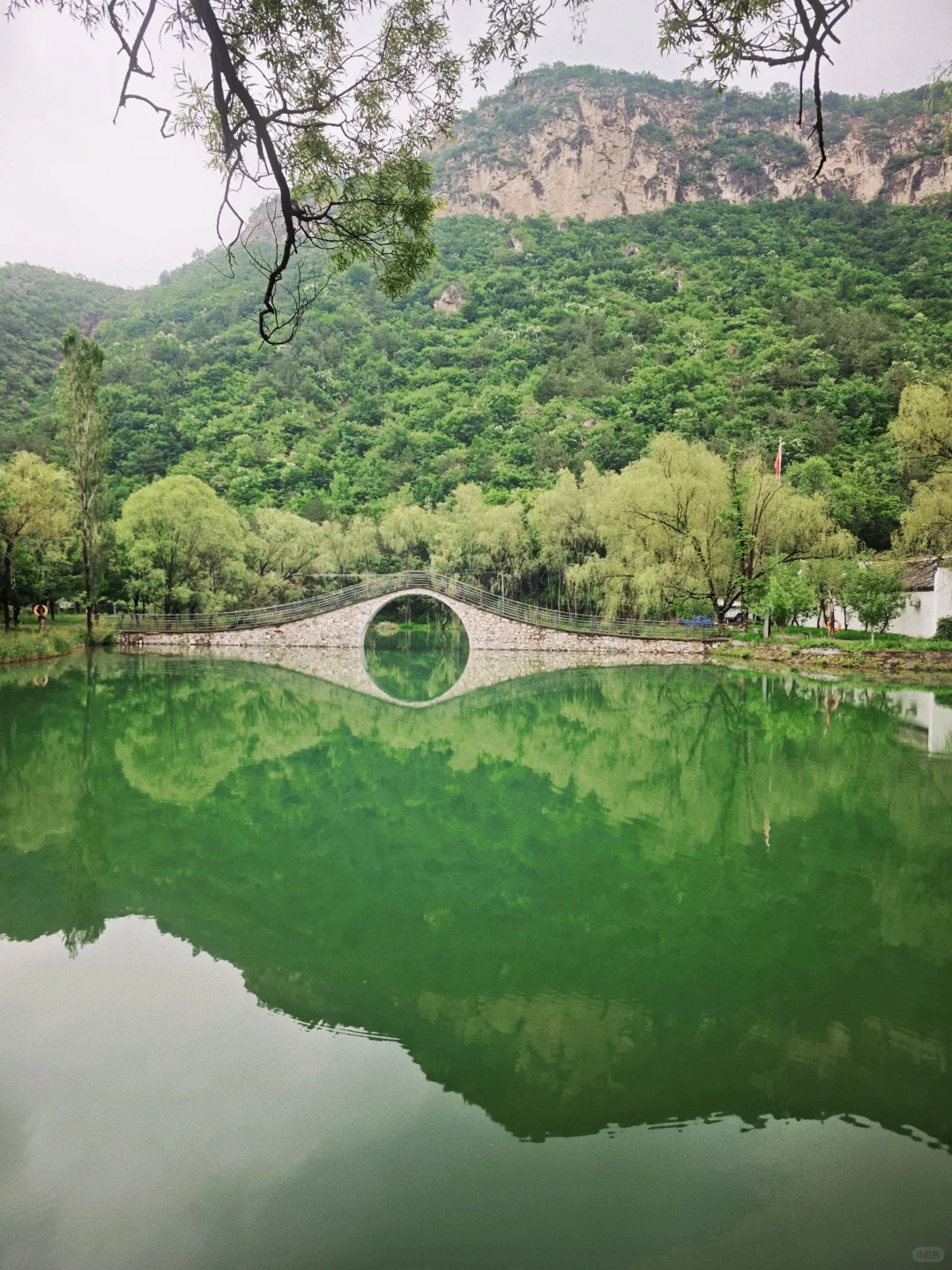 孕妈妈码住❗️绝佳放松静谧避暑胜地