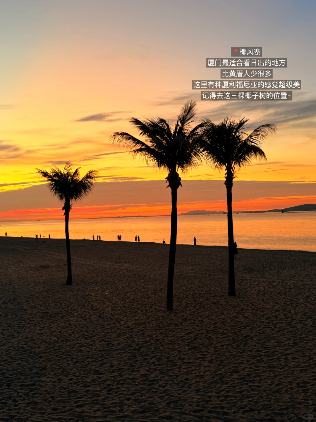 厦门最美的地方都是免费的！！！！（📍附地址）