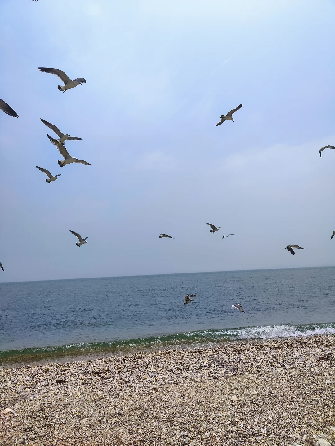 🌊长岛避坑&种草攻略