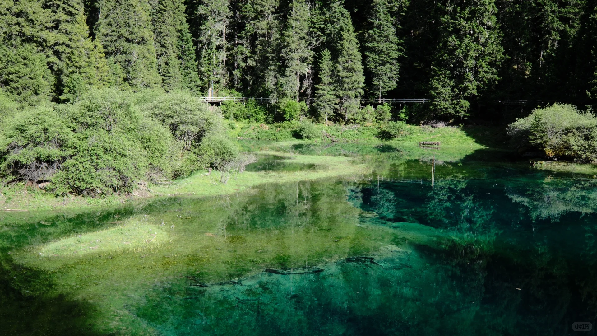 别去九寨了 松潘很够！