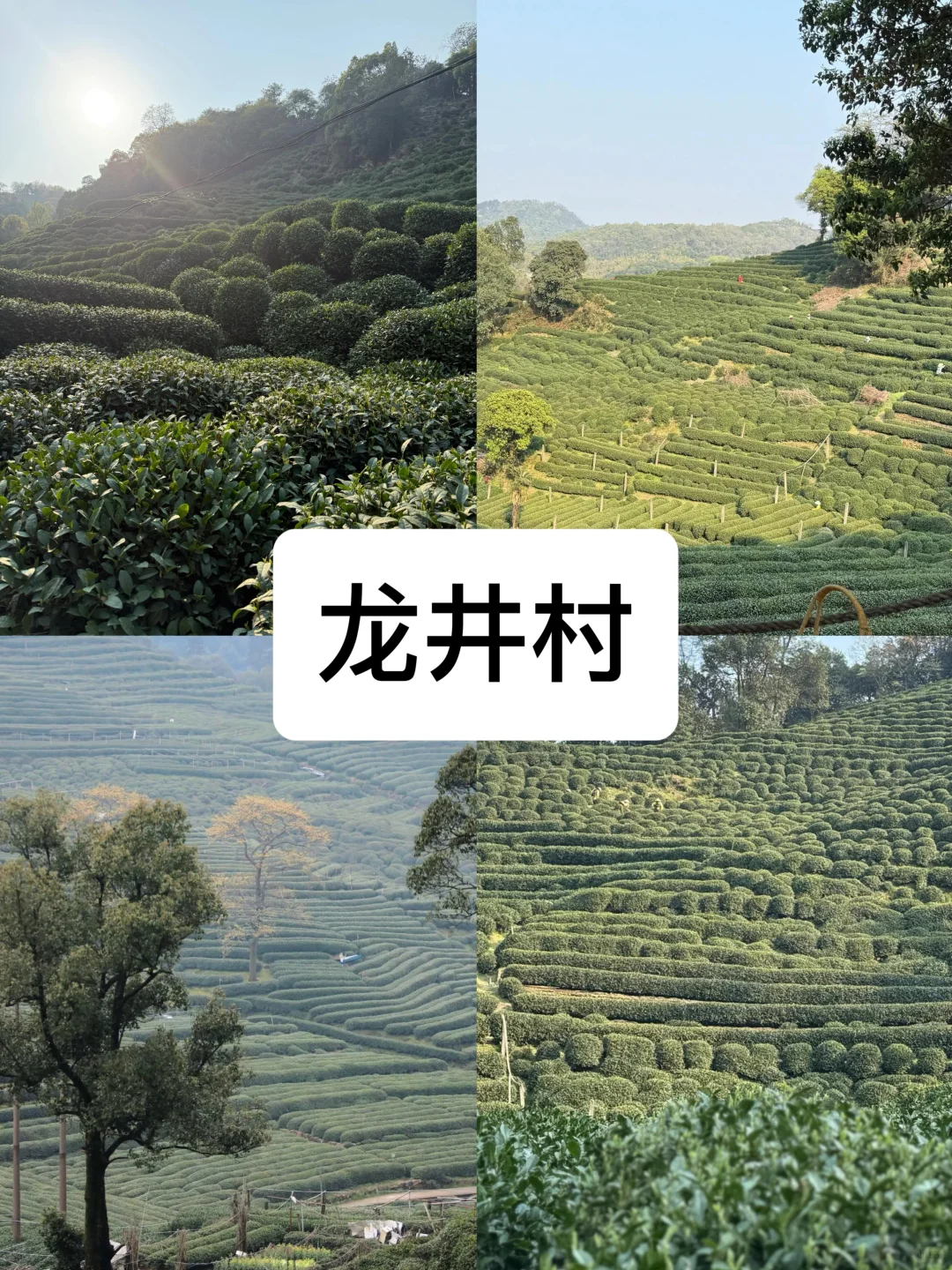 来杭州度夏必去的8️⃣大景点（不踩雷小众版）！