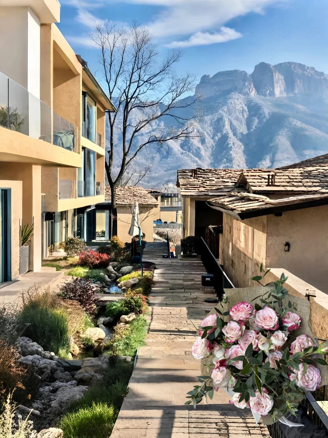 邯郸刚退房...住到我的人生民宿了😭