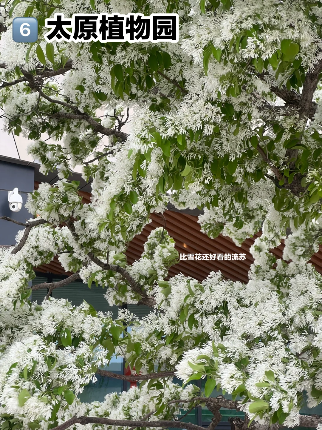 哈哈🥳谁说太原没有旅游景点了！？💪