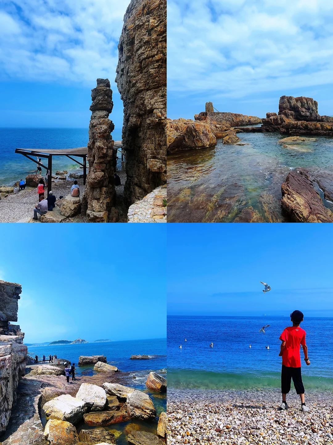 🌊长岛避坑&种草攻略