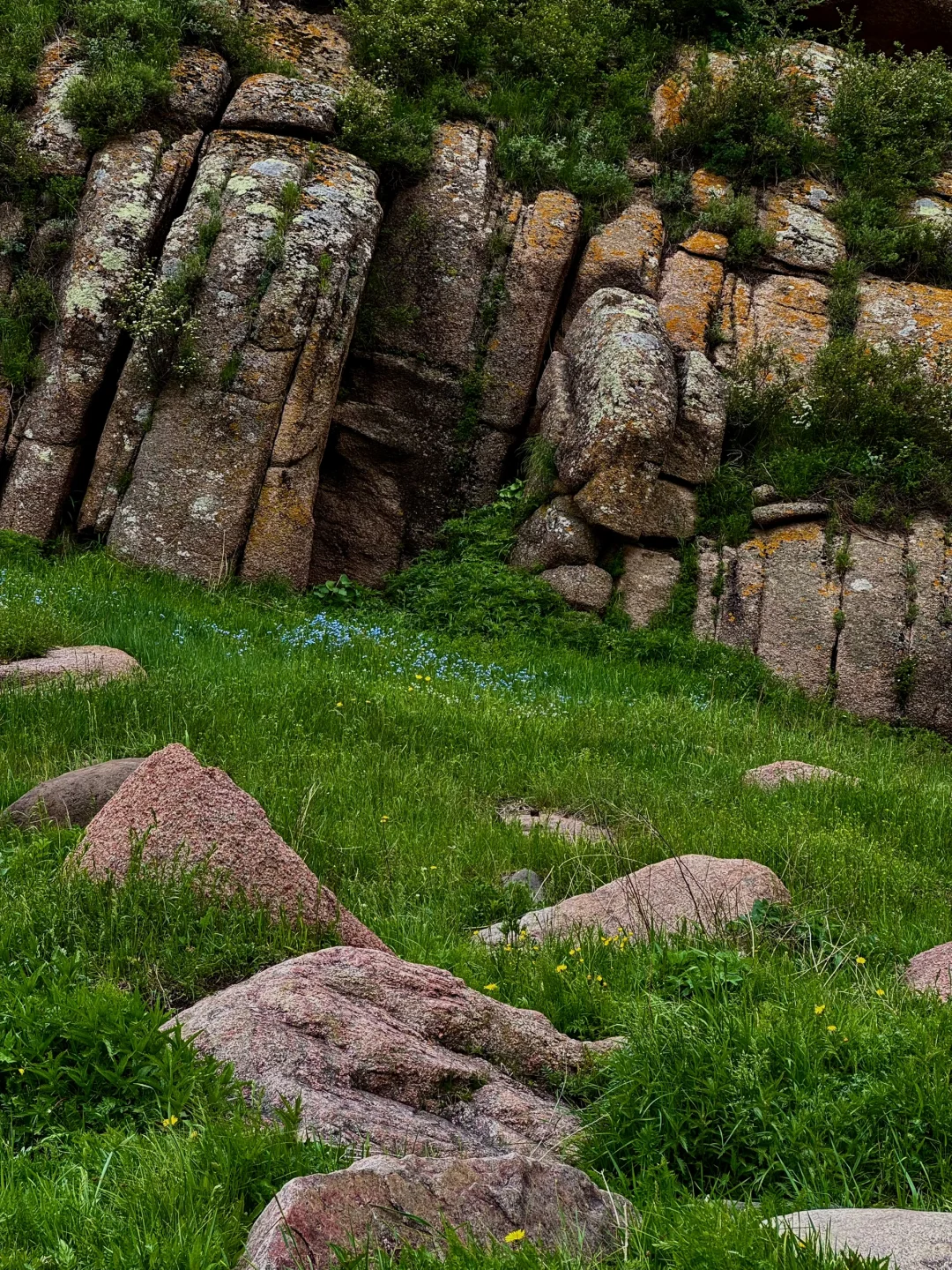 大环境不好，但这里环境好啊🌱