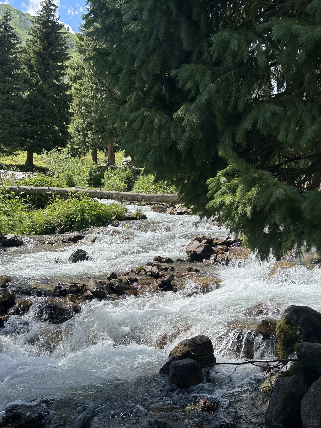 新疆人少景绝的孟克特古道💚