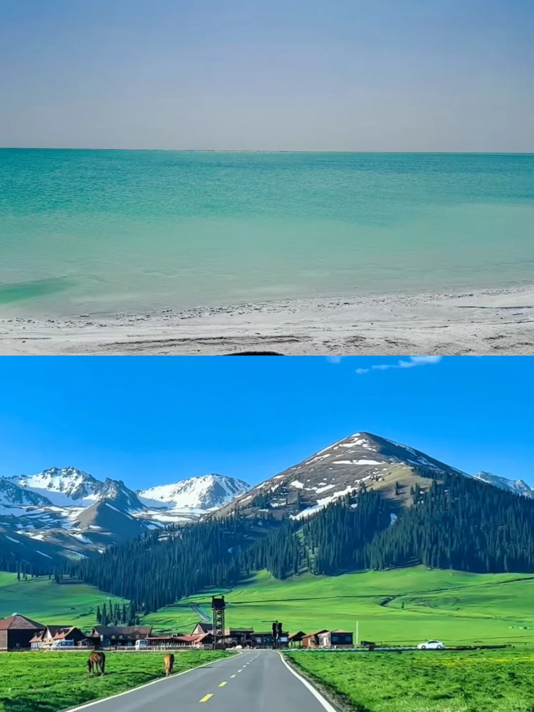 8月旅行地合集✨ 抓住夏天尾巴去撒野