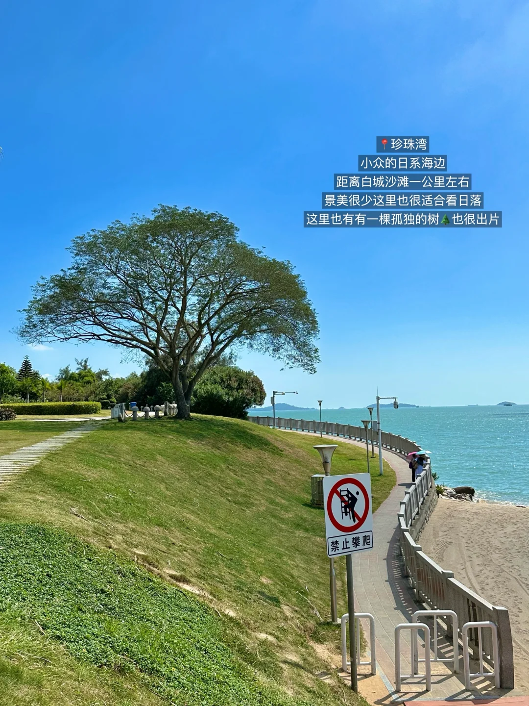 厦门最美的地方都是免费的！！！！（📍附地址）