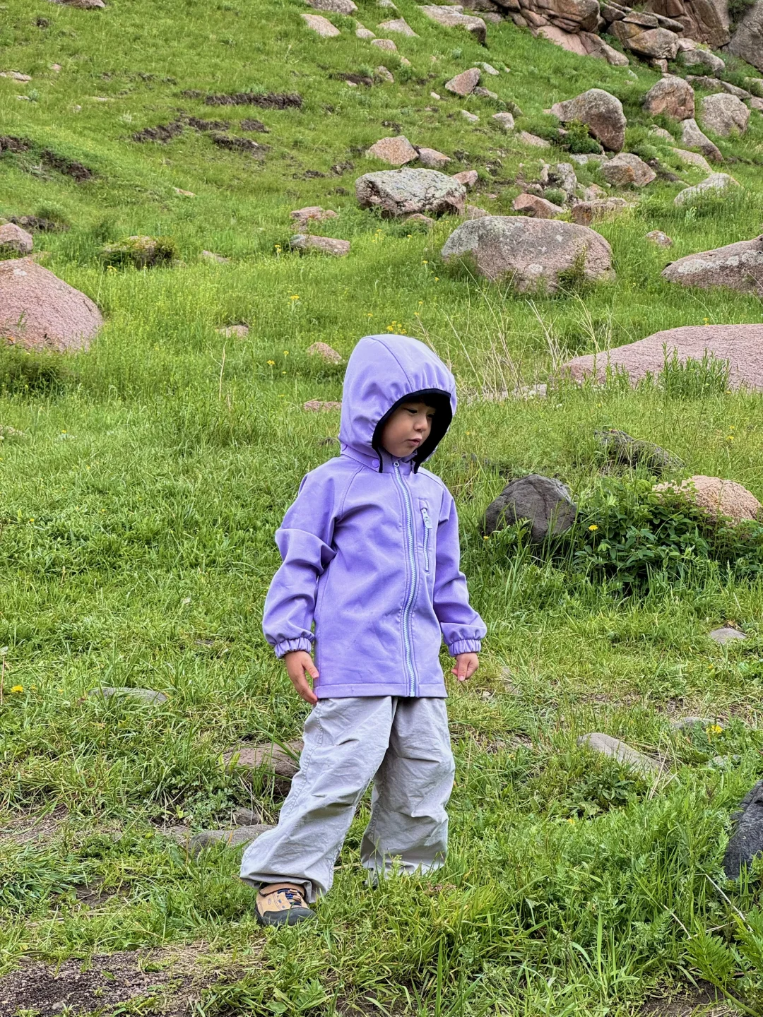 大环境不好，但这里环境好啊🌱