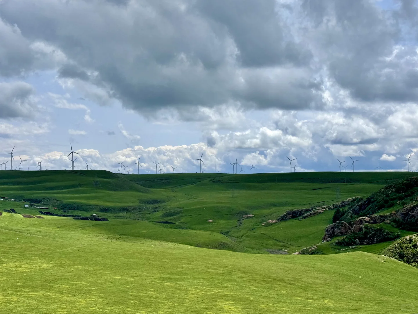 大环境不好，但这里环境好啊🌱