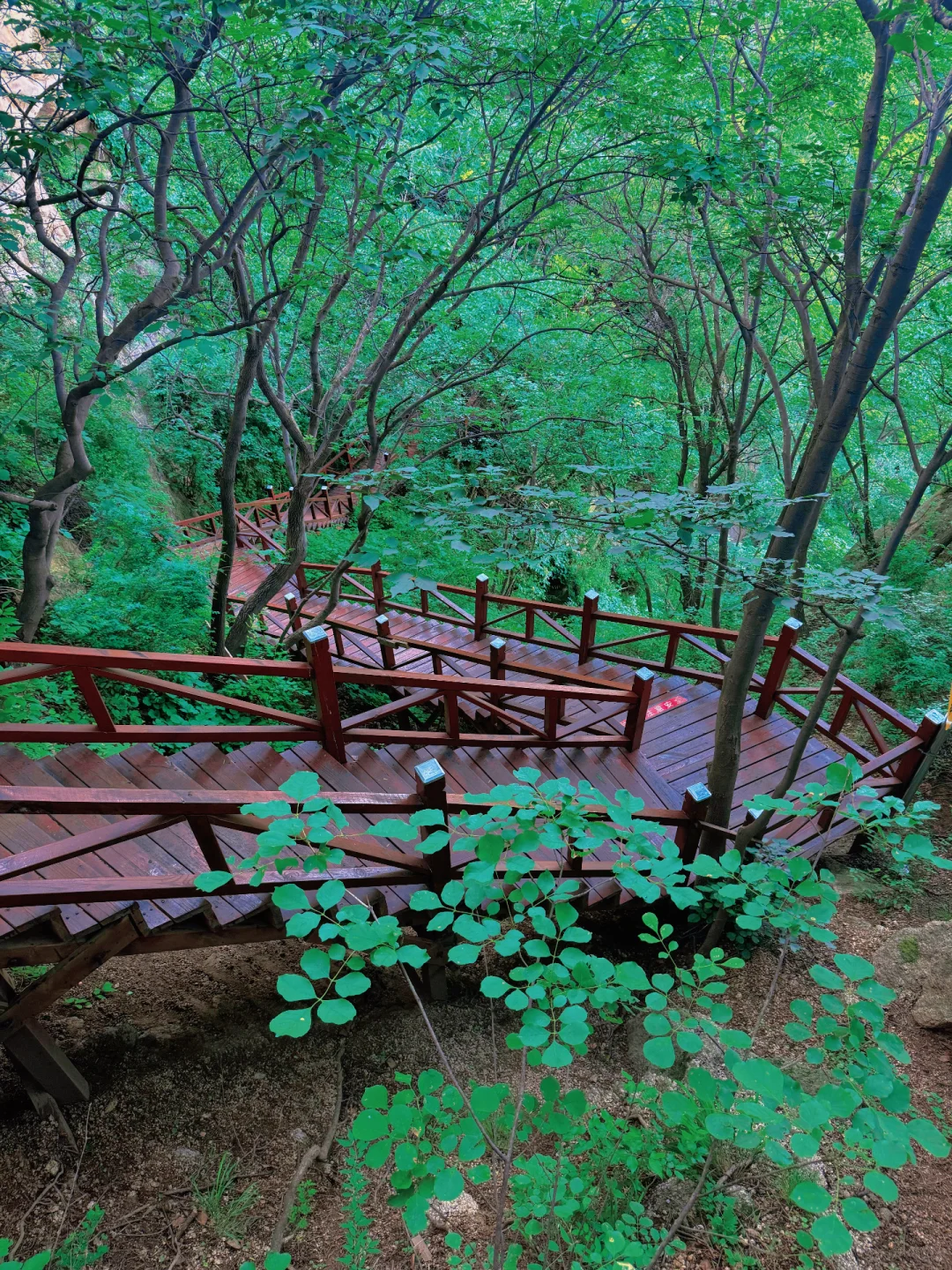 太出片了❗️隐藏在京郊山谷的
