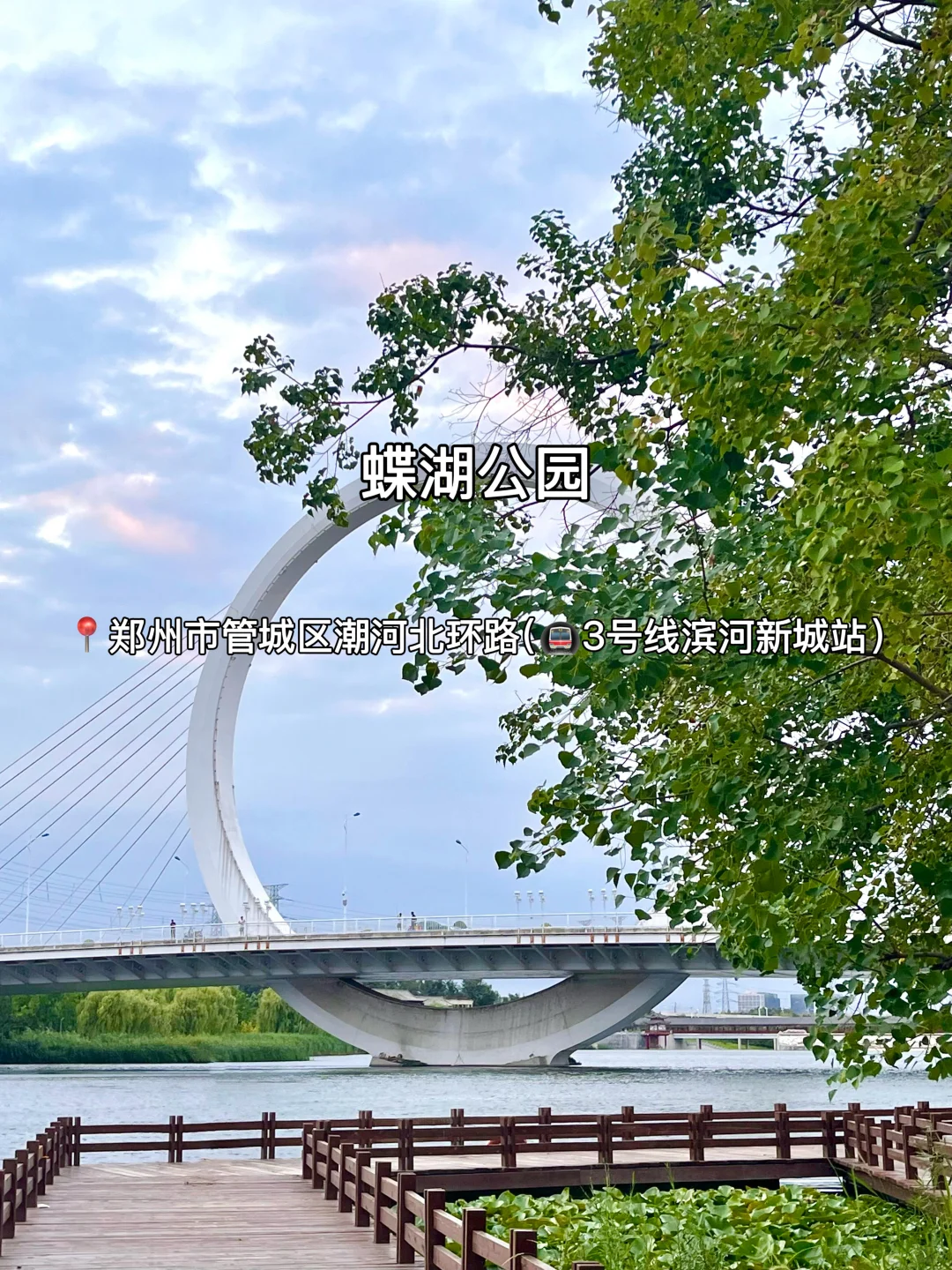 N刷郑州！千万不能错过这篇完整攻略‼️