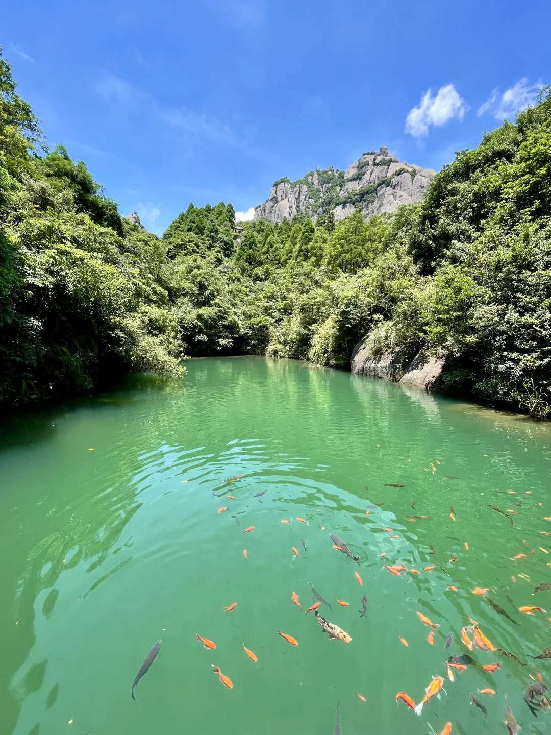 这山又免费了！！不爬对不起自己！