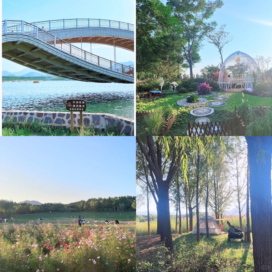 🌷周末到河北，石家庄龙泉湖湿地美爆了！