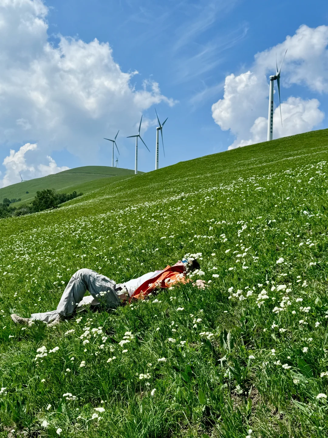 北京3h｜阿尔山平替❗️2天1晚草原自驾🚗攻略