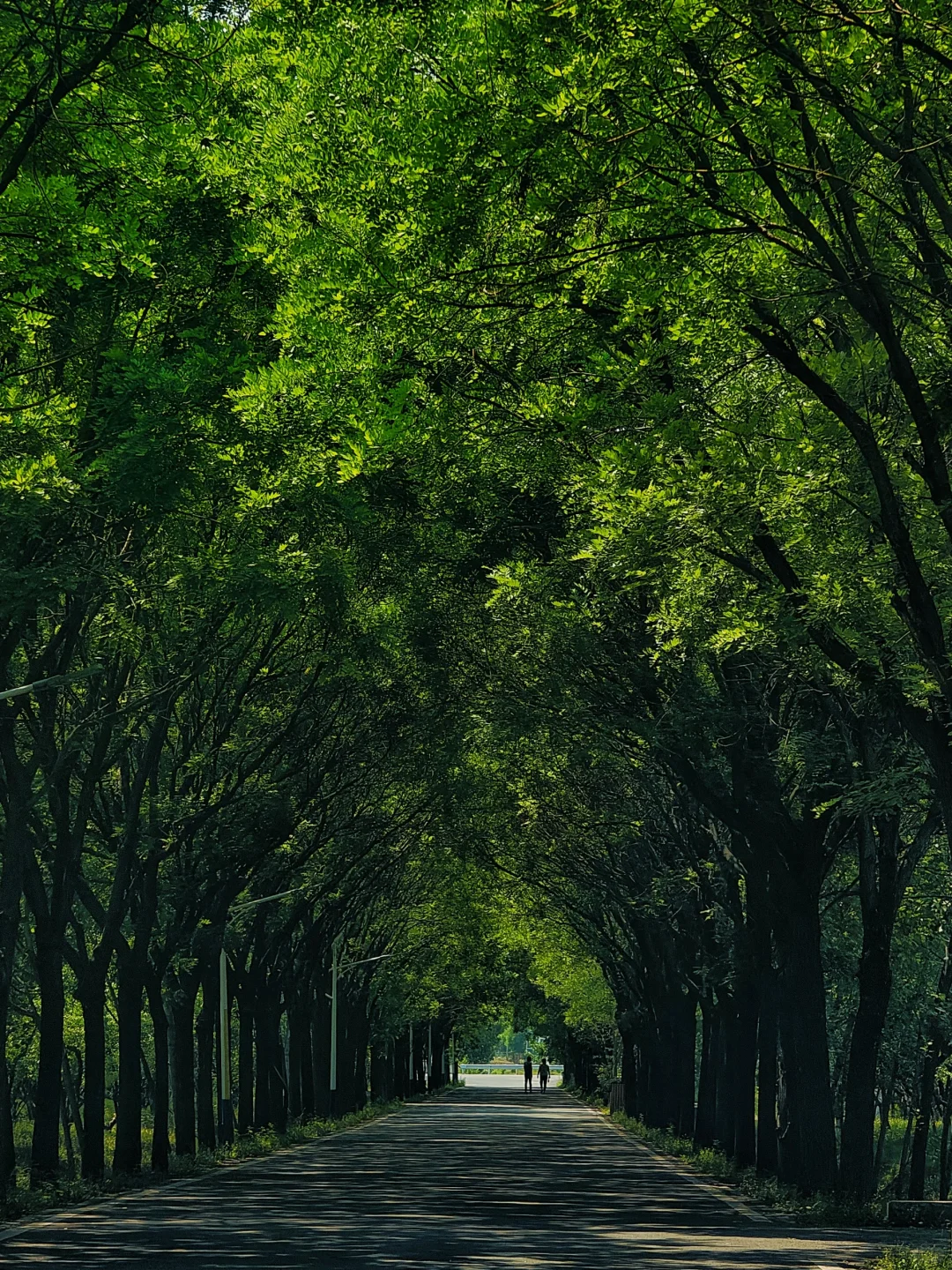 开车一个半小时‖顺义月明涧沟