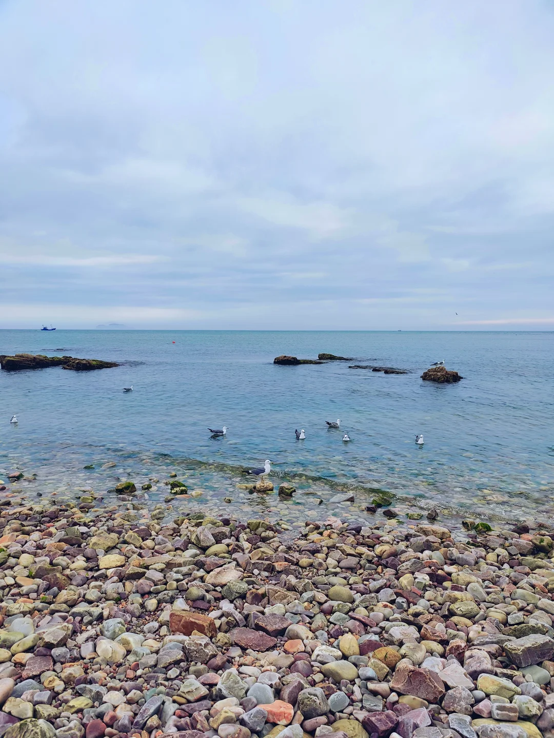 🌊长岛避坑&种草攻略