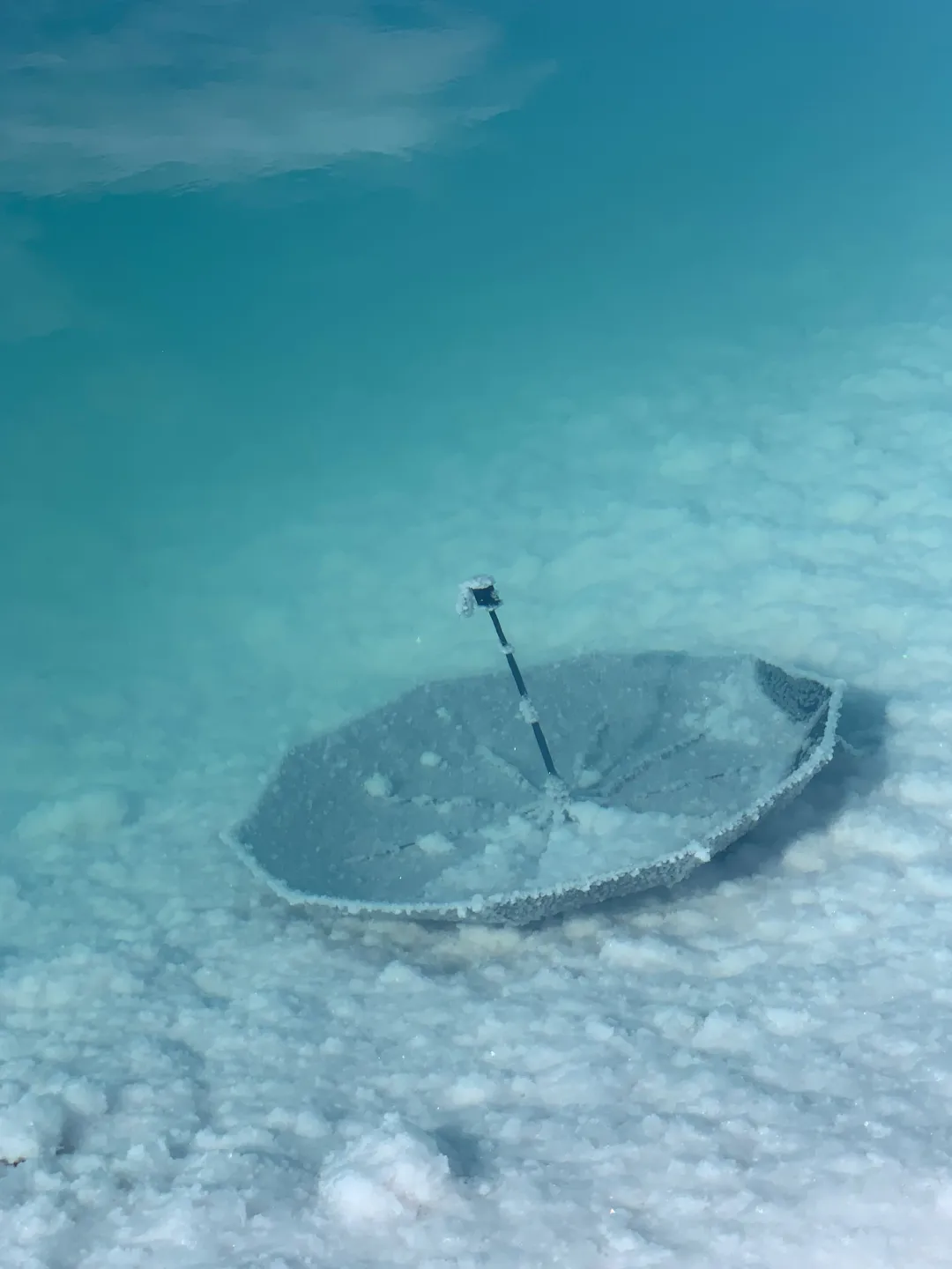 是谁的伞掉在翡翠湖里了！