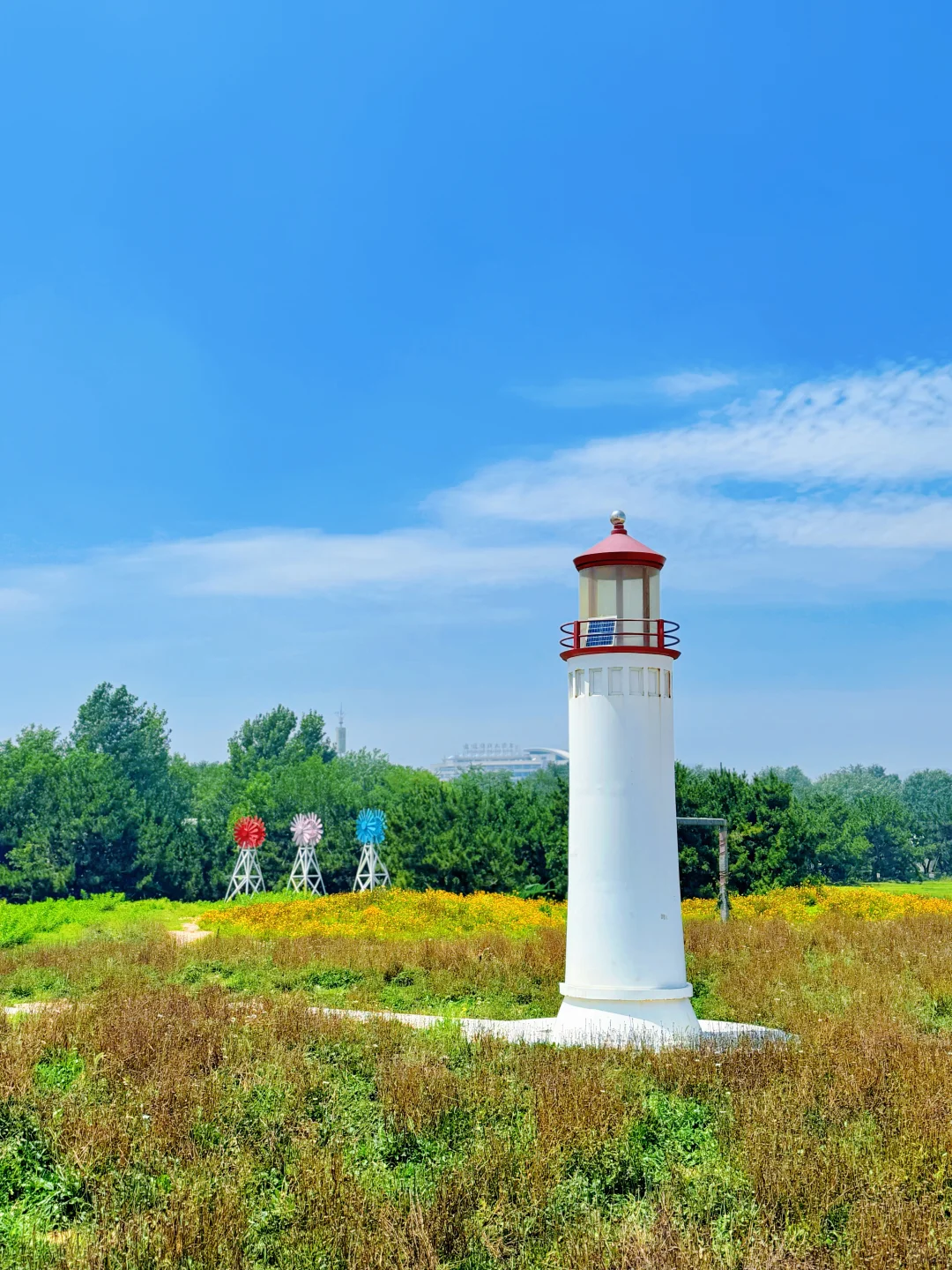 📍日照 | 夏日旅行攻略