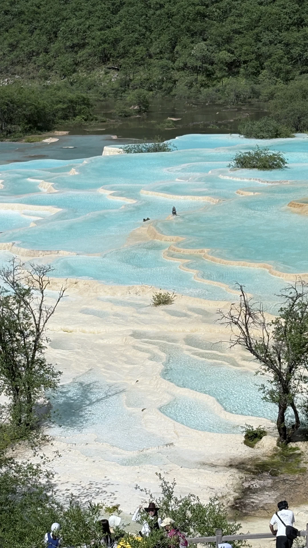 到底是谁在说黄龙九寨不好看的!