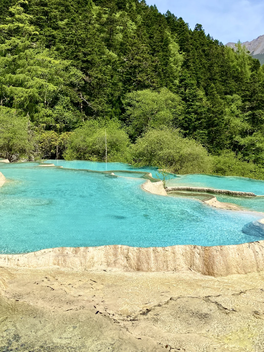 黄龙争艳池&五彩池💙💚