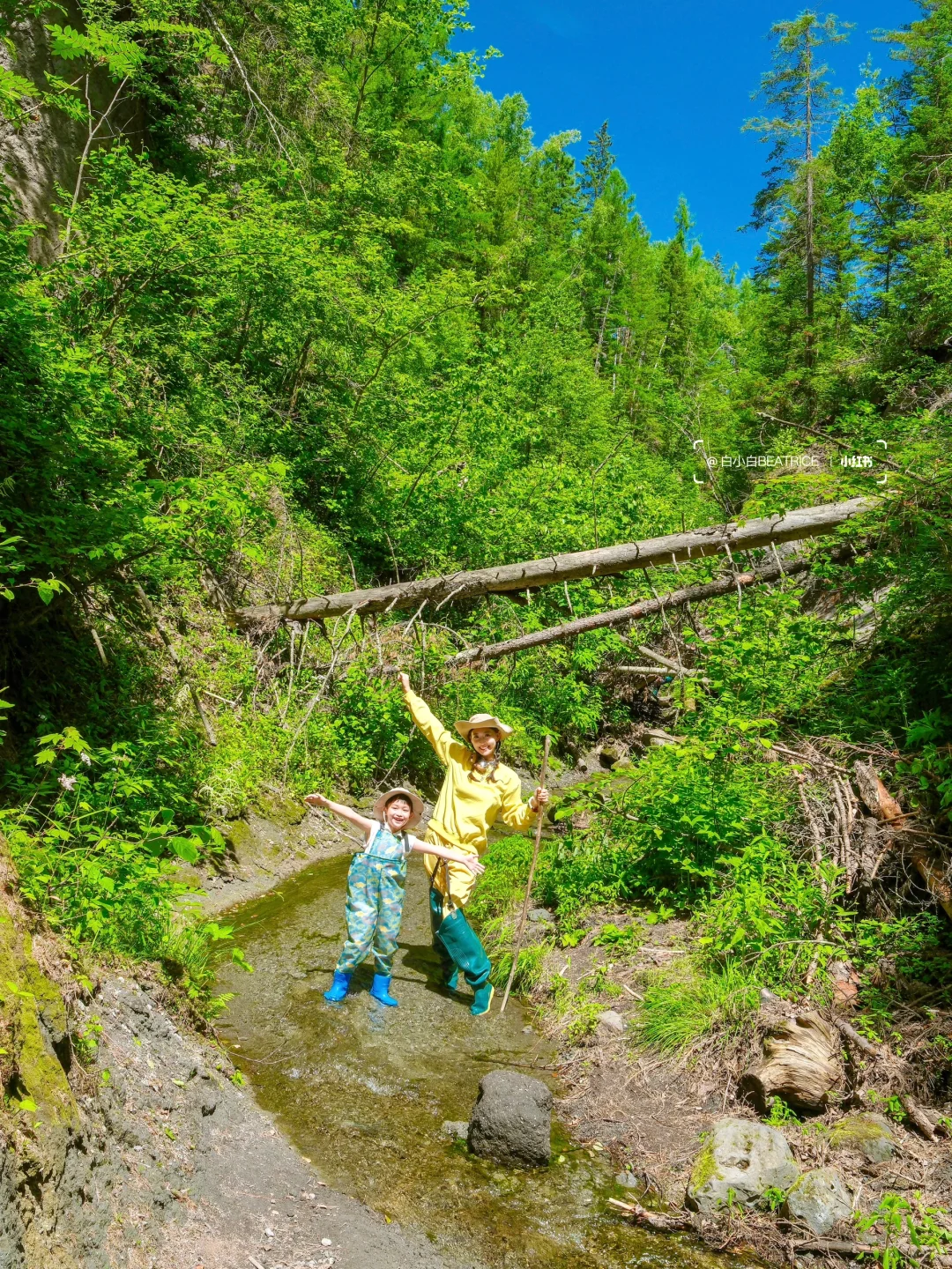 迄今为止，暑假最适合带娃的城市出现了！！🏔️
