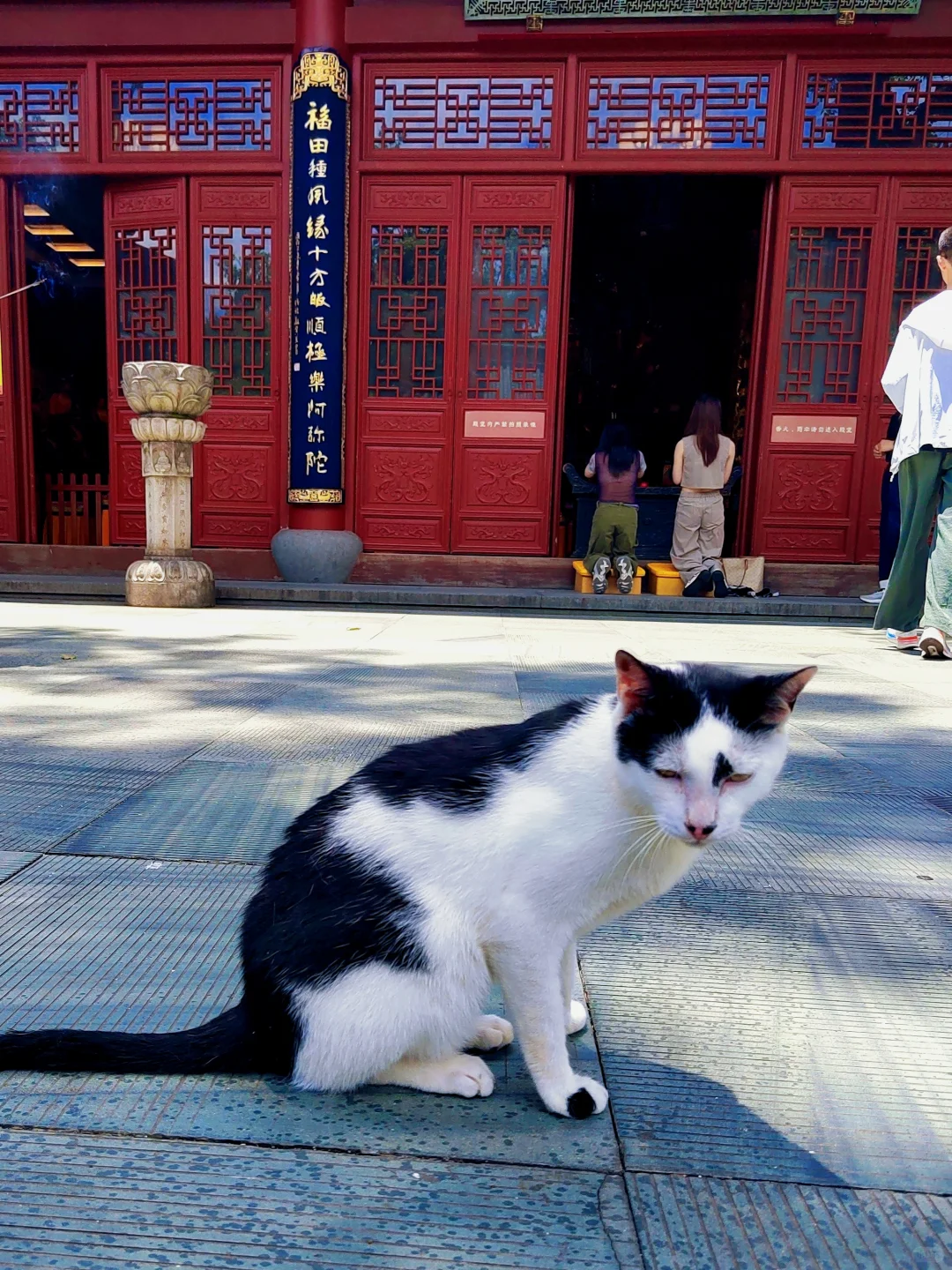 杭州灵隐寺|禅意千年,心归处