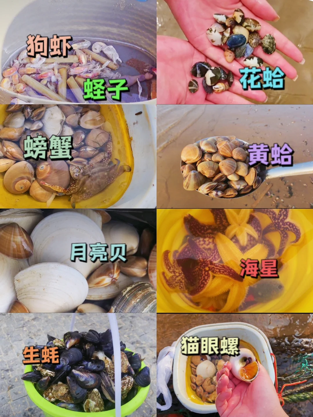 让我看看谁来秦皇岛不做攻略当冤大头‼️