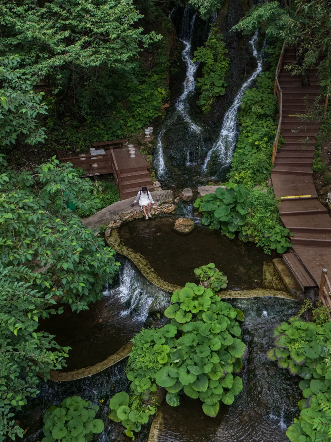 真的有被洛阳浪漫到❤️