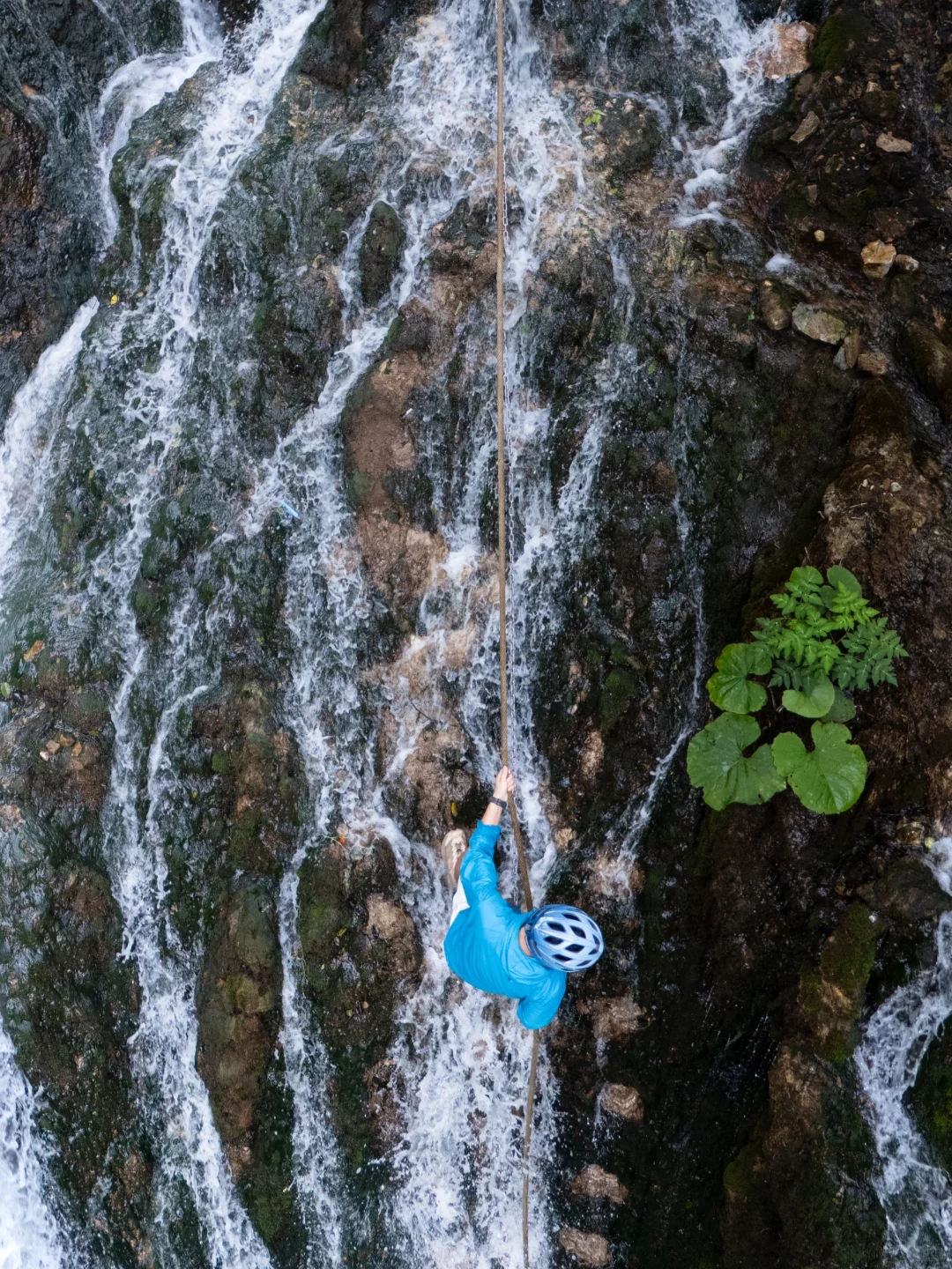 真的有被洛阳浪漫到❤️