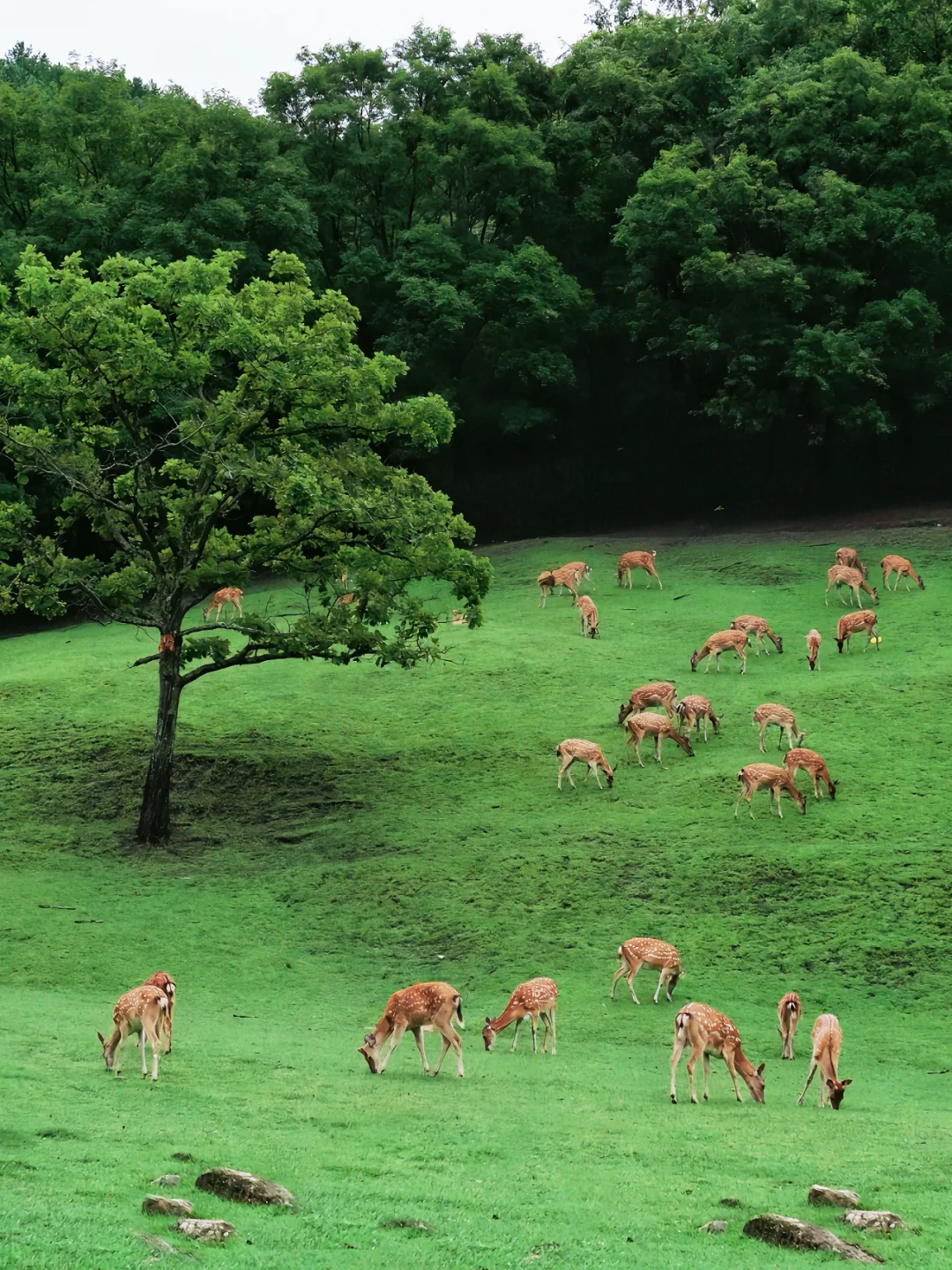 被治愈的生活底片，你抓住了嘛？