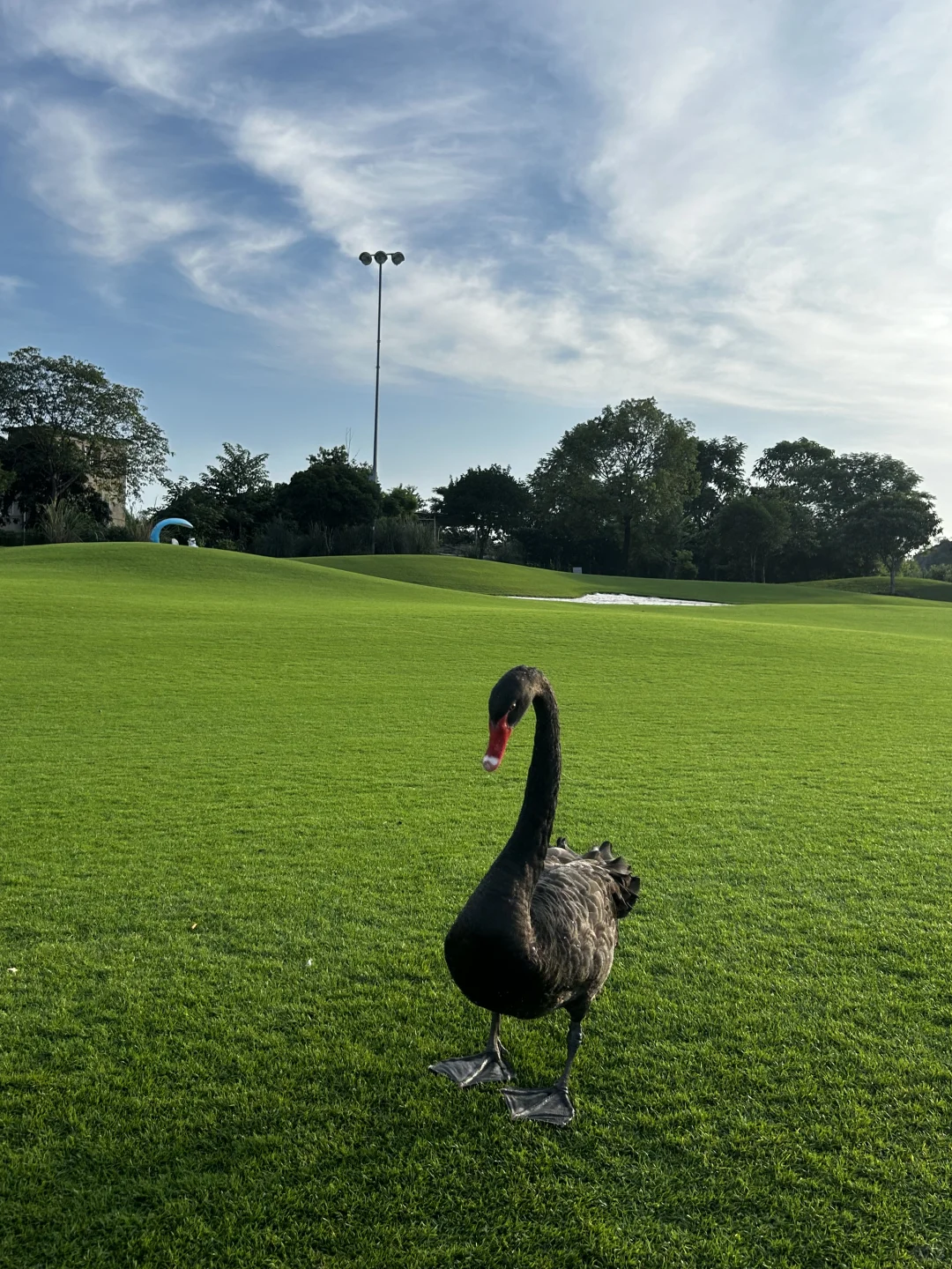 🌳桂林小瑞士-桂海晴岚🏔️无滤镜秘境攻略💯