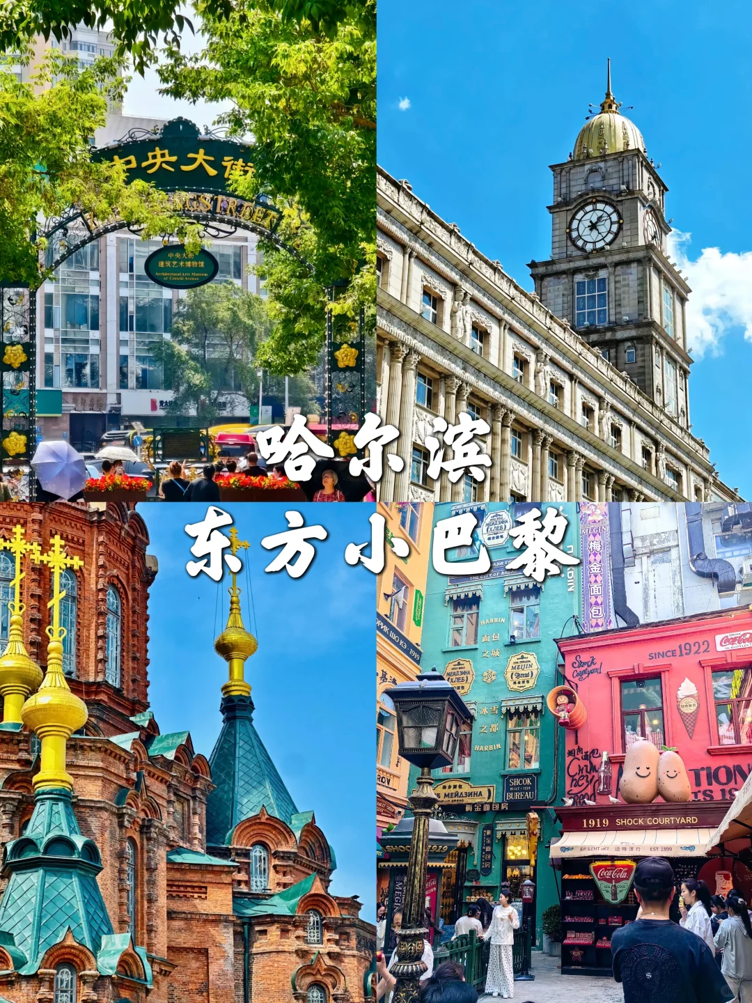 东北避暑神仙玩法！20℃夏天爽到不想走🍃