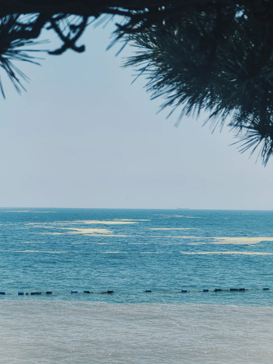 玩儿在青岛--崂山景区
