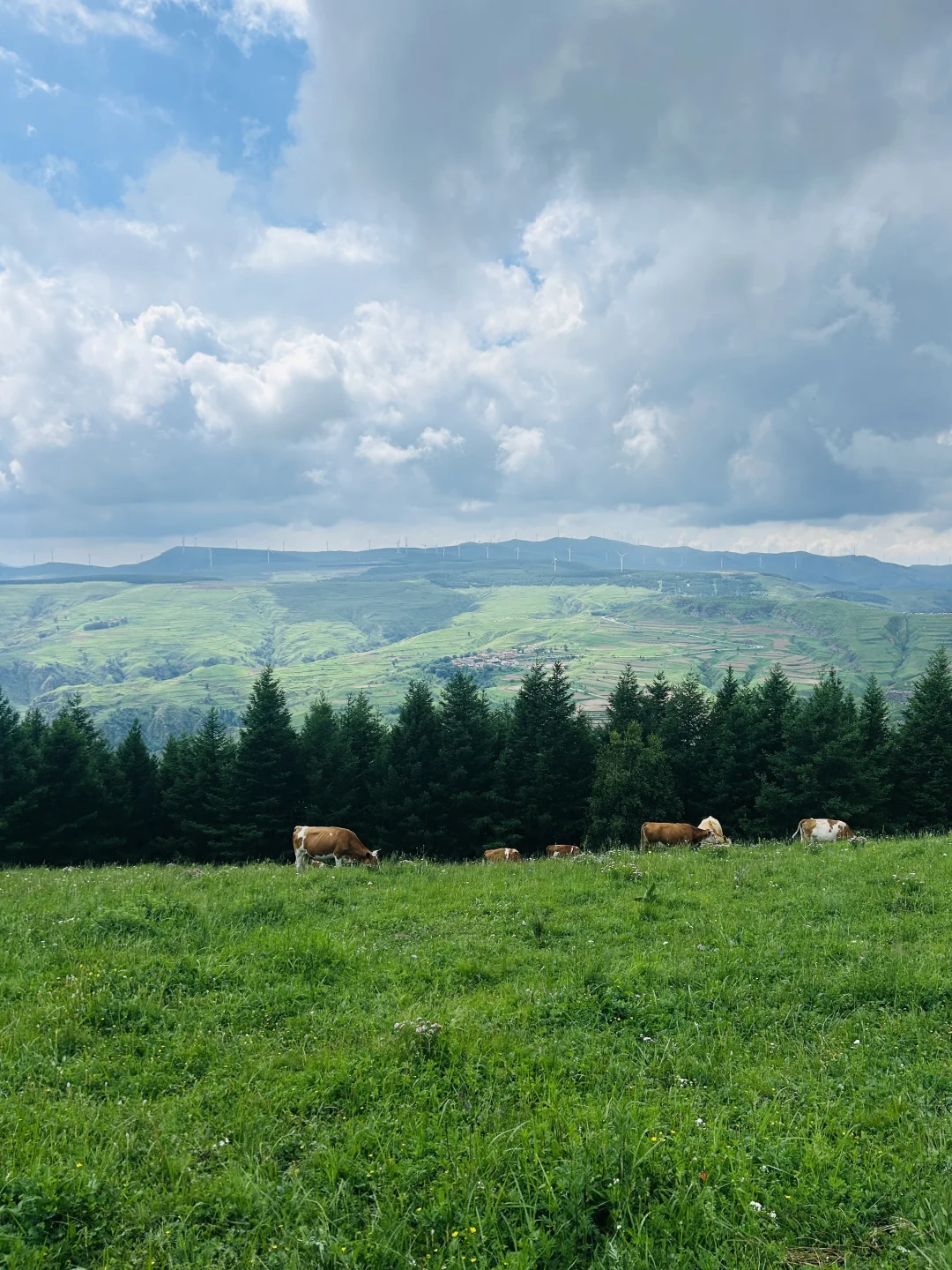 北京周边📷｜出片率200%的麻田岭⛰️