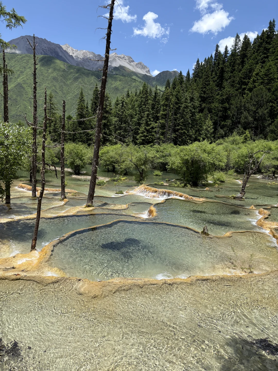 到底是谁在说黄龙九寨不好看的!